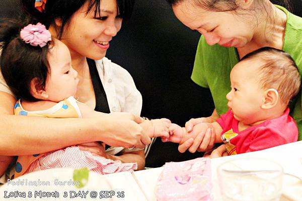 2012 9 16 柏林頓花園 Paddington Garden (120)