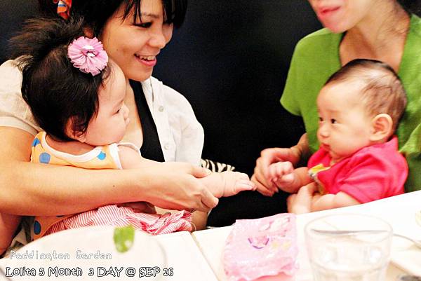 2012 9 16 柏林頓花園 Paddington Garden (121)