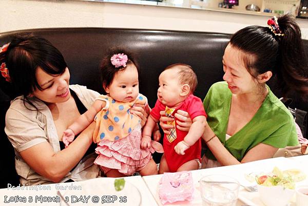 2012 9 16 柏林頓花園 Paddington Garden (126)