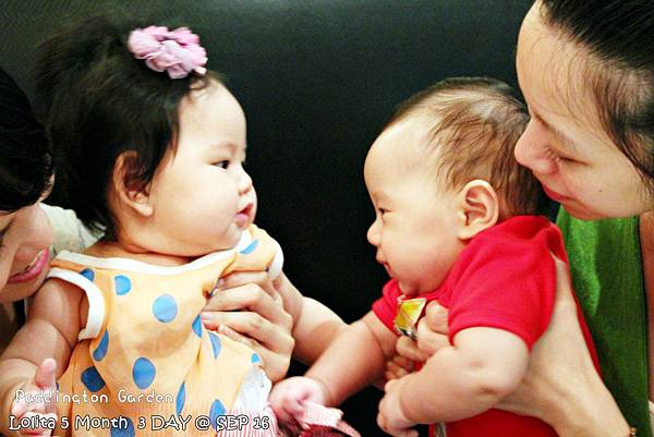 2012 9 16 柏林頓花園 Paddington Garden (130)