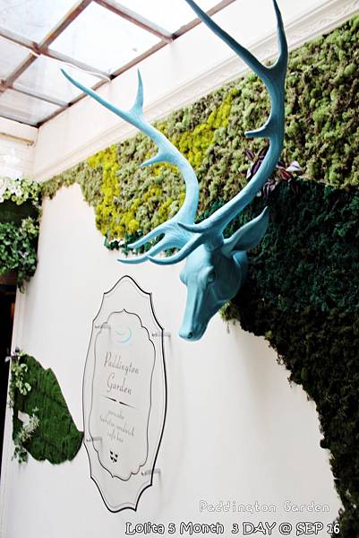 2012 9 16 柏林頓花園 Paddington Garden (163)