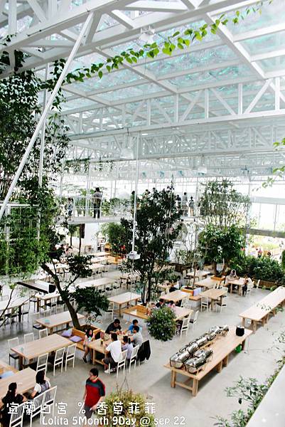 葡萄馬麻推薦宜蘭香草菲菲 有Baby吊籃椅 快點我去看!