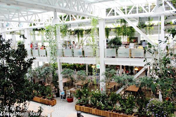 葡萄馬麻推薦宜蘭香草菲菲 有Baby吊籃椅 快點我去看!