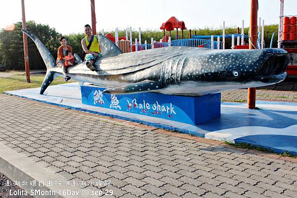 北環自由行 澎湖水族館 (9)