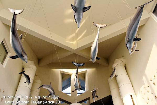 北環自由行 澎湖水族館 (20)