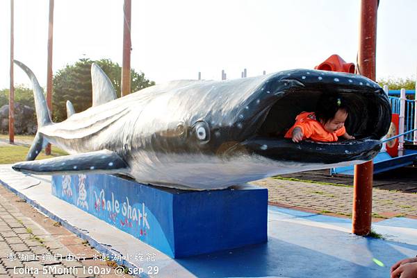 北環自由行 澎湖水族館