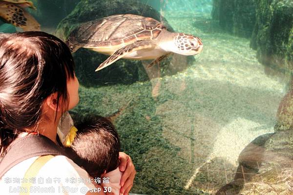 2012 9 30 澎湖水族館 (7)