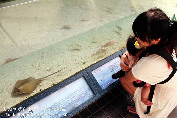 2012 9 30 澎湖水族館 (10)