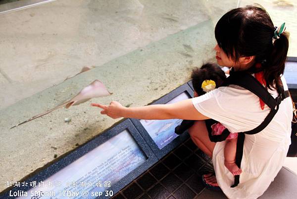 2012 9 30 澎湖水族館 (11)