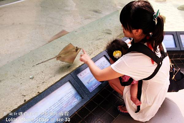 2012 9 30 澎湖水族館 (12)