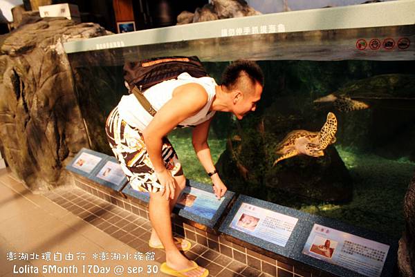 2012 9 30 澎湖水族館 (17)