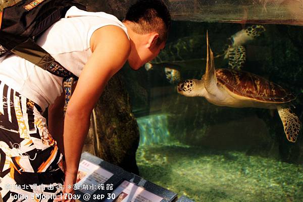 2012 9 30 澎湖水族館 (18)