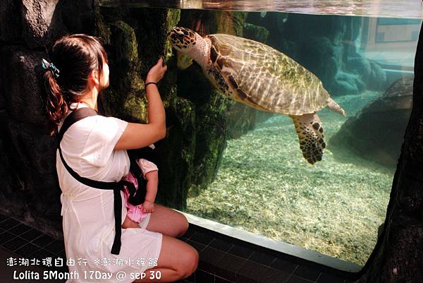 2012 9 30 澎湖水族館 (28)