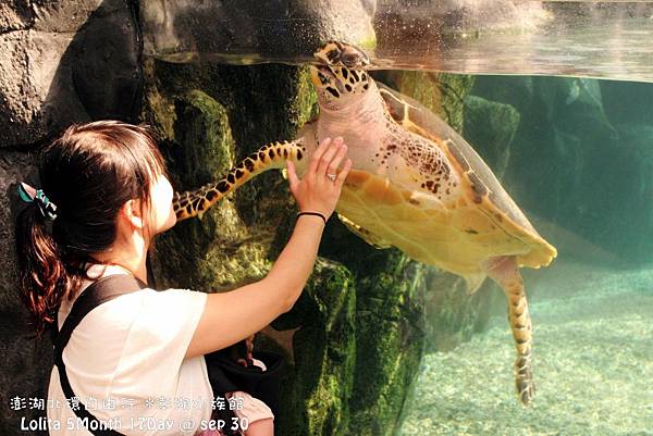 2012 9 30 澎湖水族館 (29)