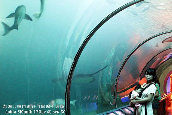 2012 9 30 澎湖水族館 (35)