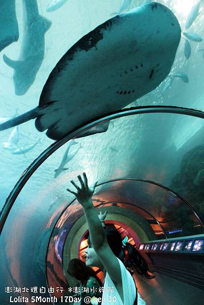 2012 9 30 澎湖水族館 (39)