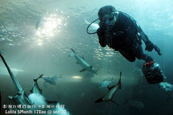 2012 9 30 澎湖水族館 (40)