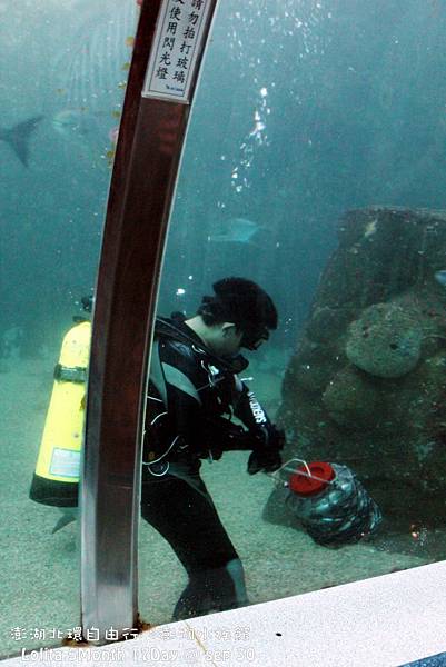 2012 9 30 澎湖水族館 (46)