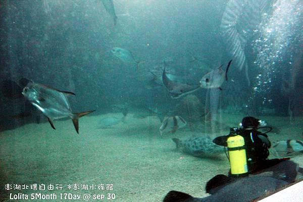2012 9 30 澎湖水族館 (49)