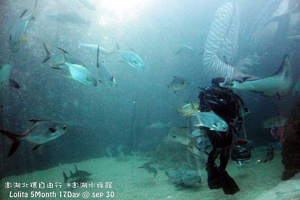 2012 9 30 澎湖水族館 (51)