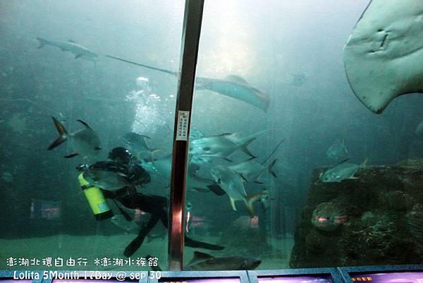 2012 9 30 澎湖水族館 (58)