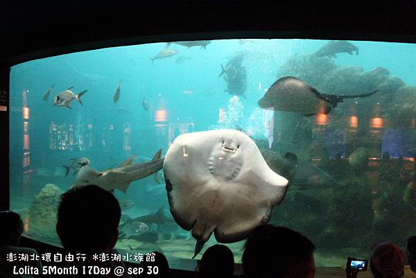 2012 9 30 澎湖水族館 (63)