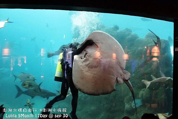2012 9 30 澎湖水族館 (76)