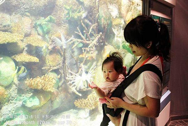 2012 9 30 澎湖水族館 (96)