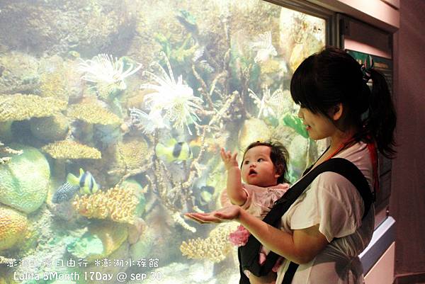 2012 9 30 澎湖水族館 (101)