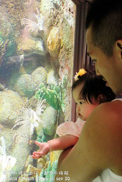 2012 9 30 澎湖水族館 (105)