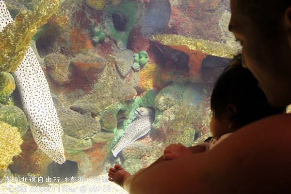 2012 9 30 澎湖水族館 (106)