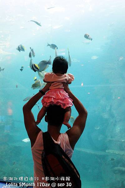2012 9 30 澎湖水族館 (113)
