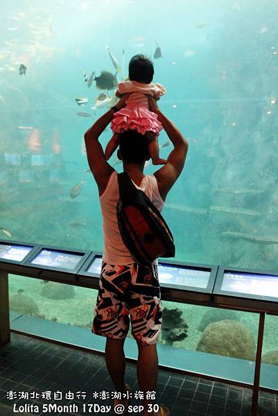2012 9 30 澎湖水族館 (114)