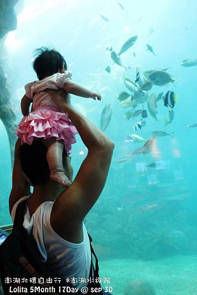 2012 9 30 澎湖水族館 (116)