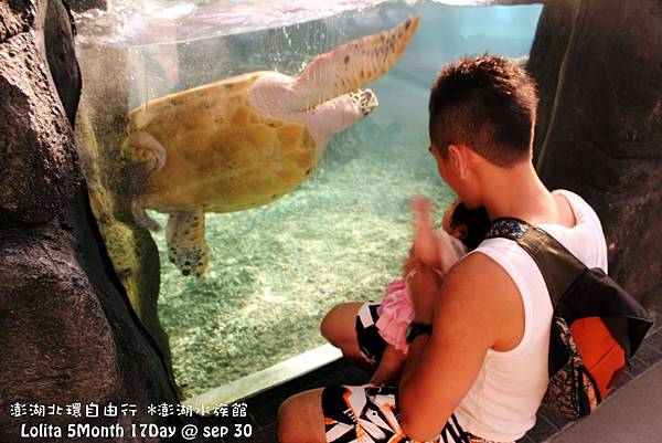 2012 9 30 澎湖水族館 (120)