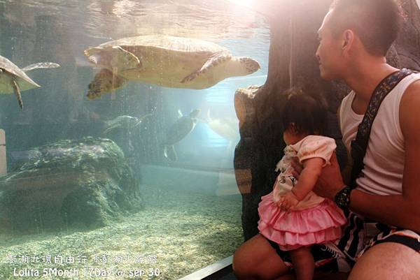 2012 9 30 澎湖水族館 (127)