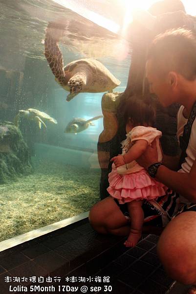 2012 9 30 澎湖水族館 (128)