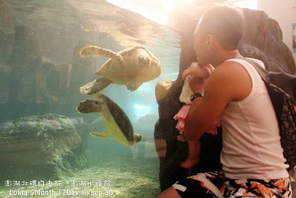 2012 9 30 澎湖水族館 (129)