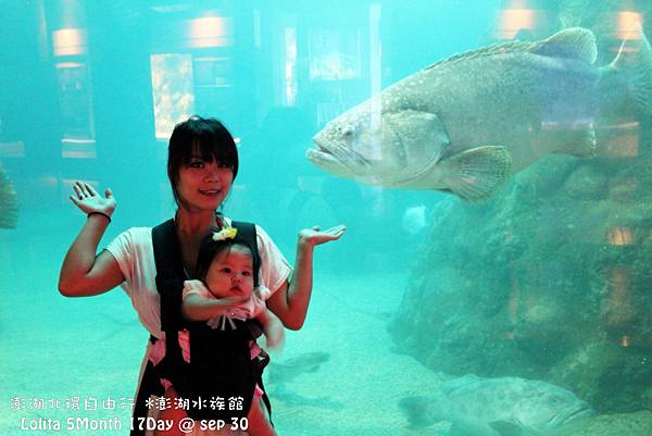 2012 9 30 澎湖水族館 (132)