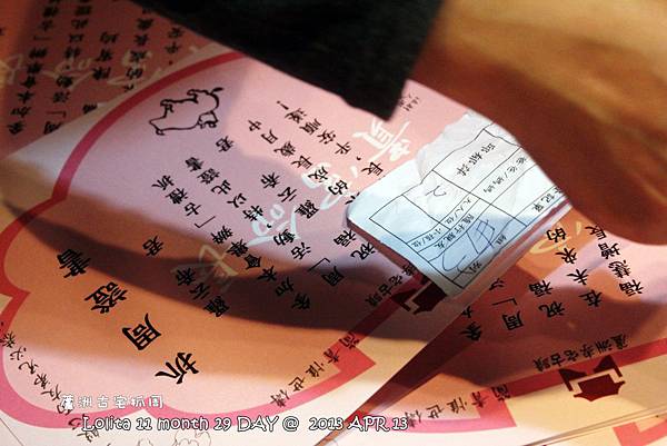 抓周報到 (15) 抓周報到 (15)