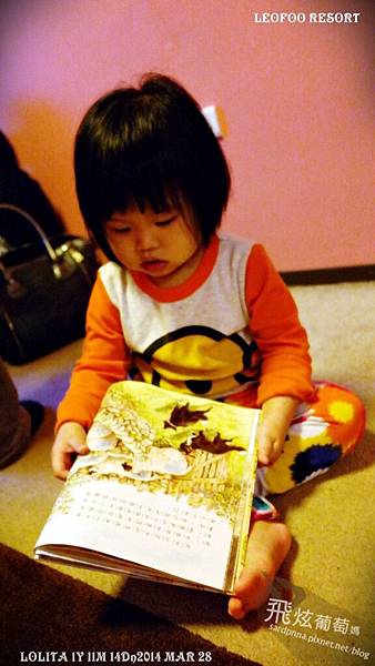 SAM_0130.JPG SAM_0130.JPG