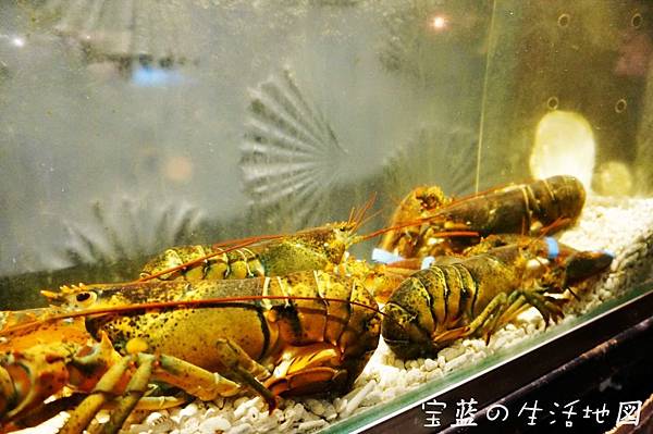 [試食|高雄 - 鼓山] 低調奢華日本料理 ✗ 江戶龍壽司(二店)