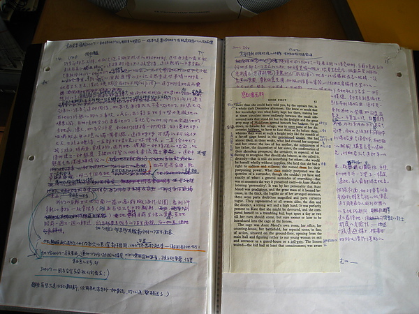 wings of the dove-3.JPG