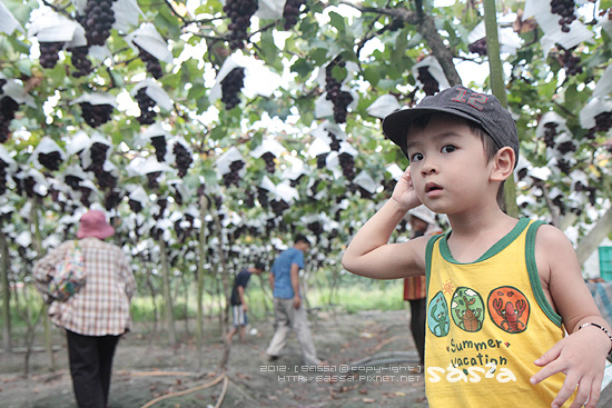門口有狗狗好兇
