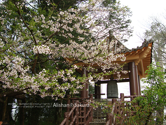 慈雲寺鐘 慈雲寺鐘