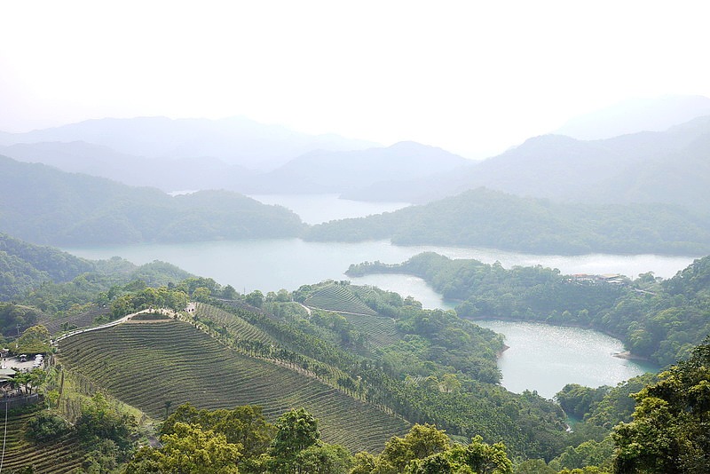 P1550917.JPG P1550917.JPG
