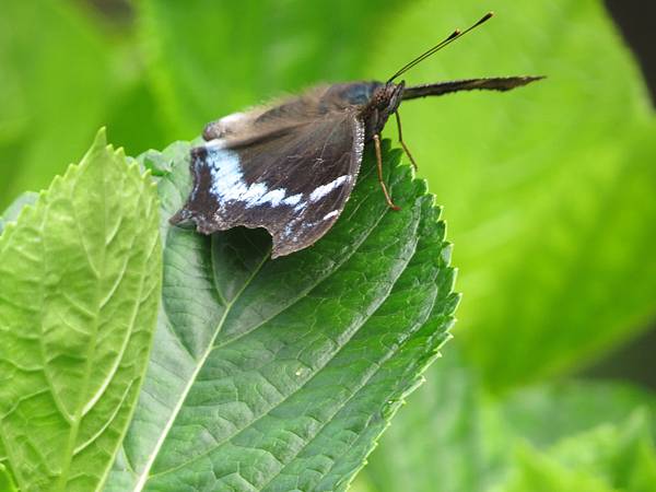 IMG_9364.JPG IMG_9364.JPG