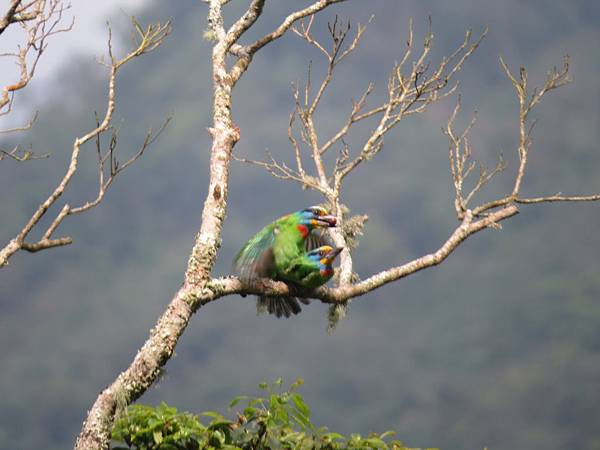 IMG_9386.JPG IMG_9386.JPG