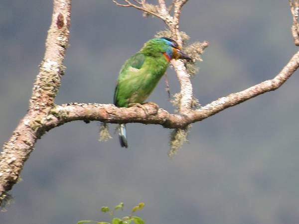 IMG_9388.JPG IMG_9388.JPG