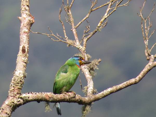 IMG_9389.JPG IMG_9389.JPG